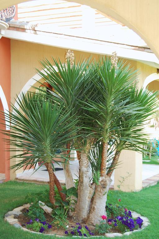 I Lentischi Aparthotel Villasimius Exterior photo